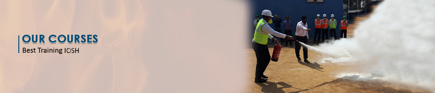 Courses at icon institute